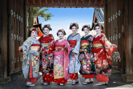 Japan_Sakura_2025 (23/79)